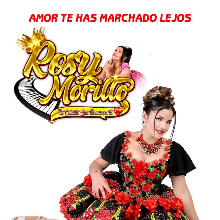 Rosy Morillo's avatar image