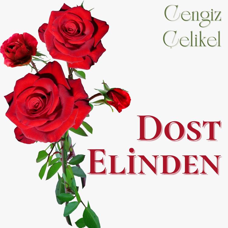 Cengiz Çelikel's avatar image
