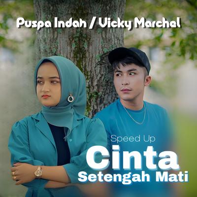 Cinta Setengah Mati (Speed Up)'s cover