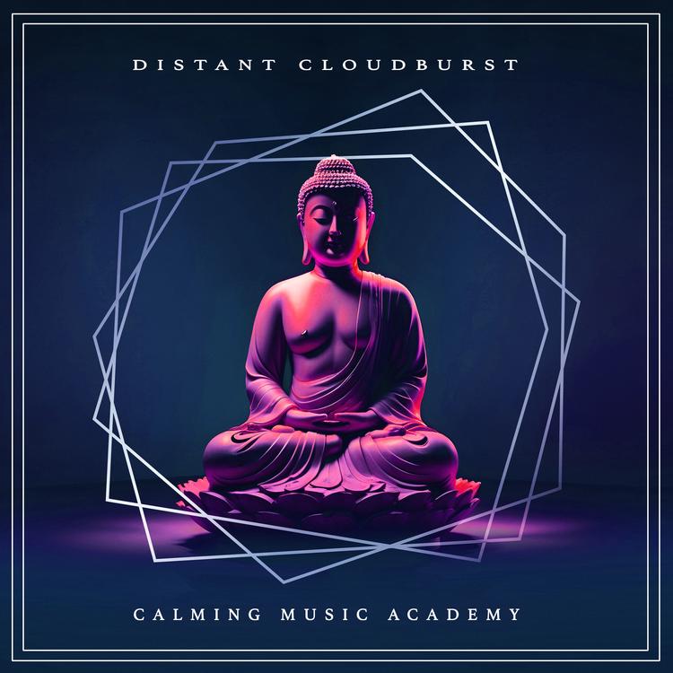 Calming Music Academy's avatar image