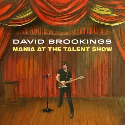 David Brookings's cover