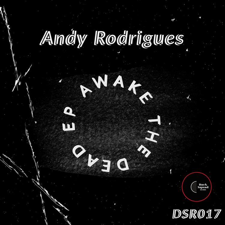 Andy Rodrigues's avatar image