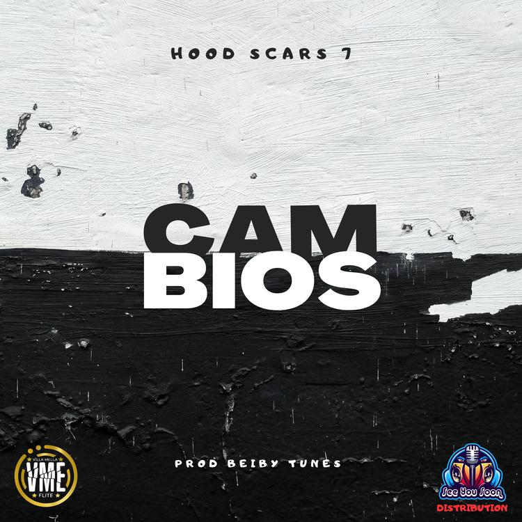 Hood Scars 7's avatar image