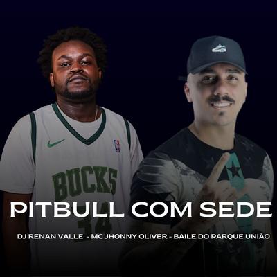 PITBULL COM SEDE's cover