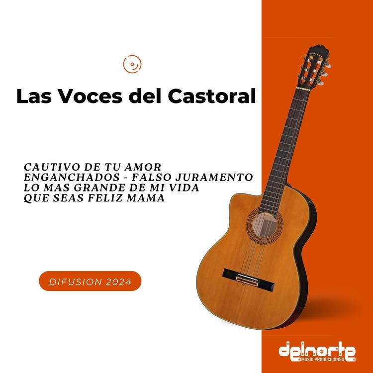 Las Voces del Castoral's avatar image