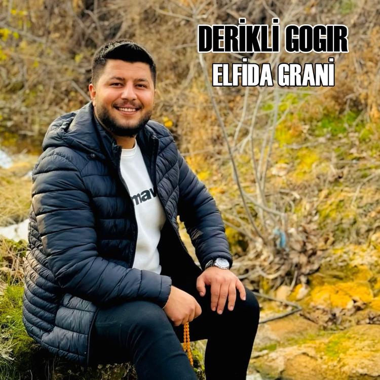 Derikli Hogır's avatar image