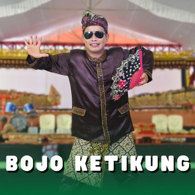 Bojo Ketikung's cover