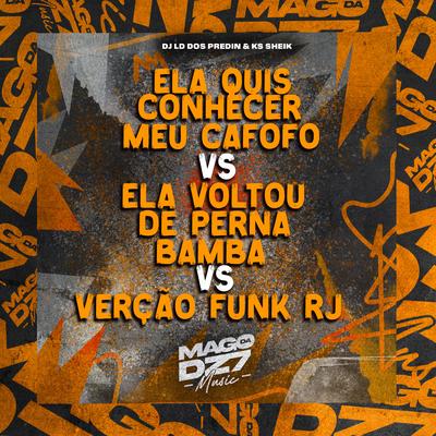 Ela Quis Conhecer Meu Cafofo VS Ela Voltou de Perna Bamba VS Versão Funk Rj's cover