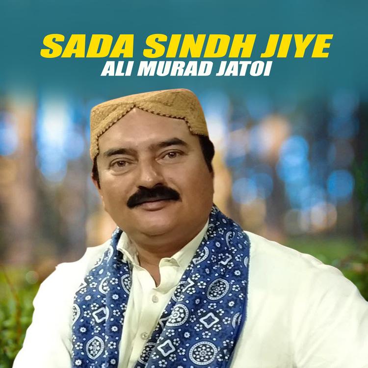 Ali Murad Jatoi's avatar image