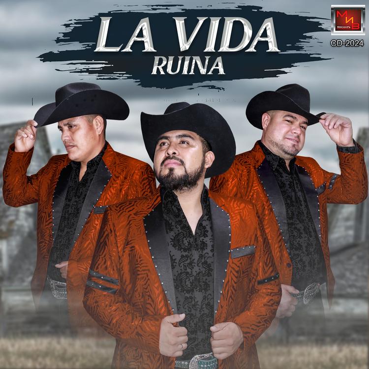 Trio Dorados De La Sierra's avatar image