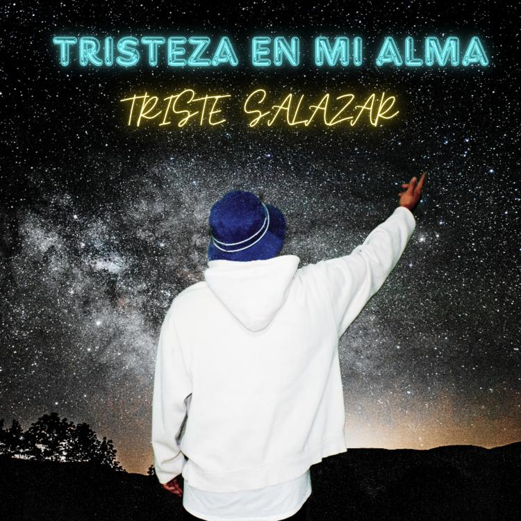 Triste Salazar's avatar image