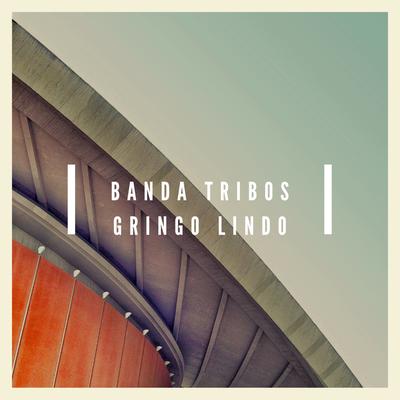 Gringo Lindo By Banda Tribos's cover
