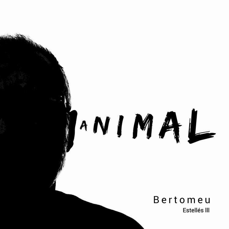 Bertomeu's avatar image