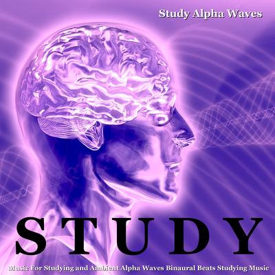 Studying Music (Stimulation of the Brain)'s cover