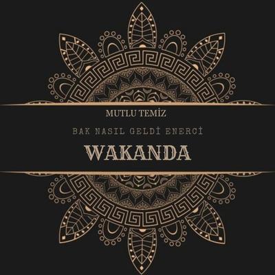 Wakanda (Bak Nasılda Geldi Enerci)'s cover