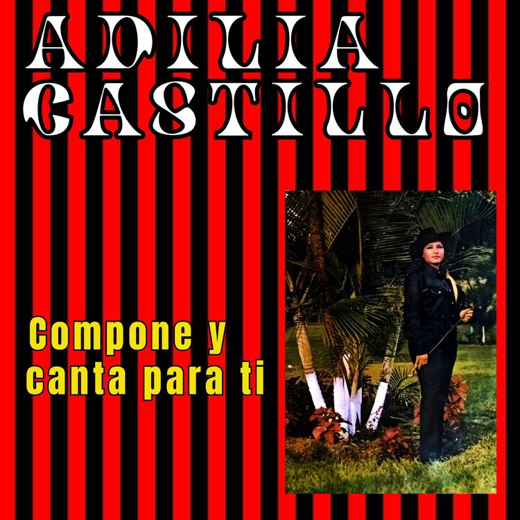 Adilia Castillo's avatar image