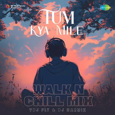 Tum Kya Mile - Walk n Chill Mix's cover