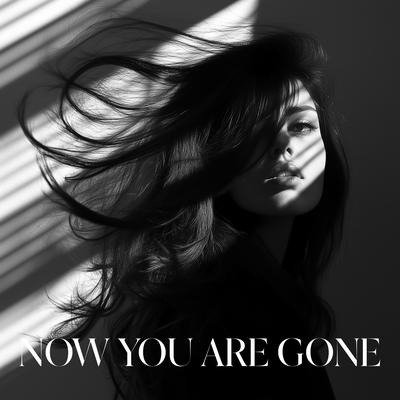 Now You Are Gone's cover