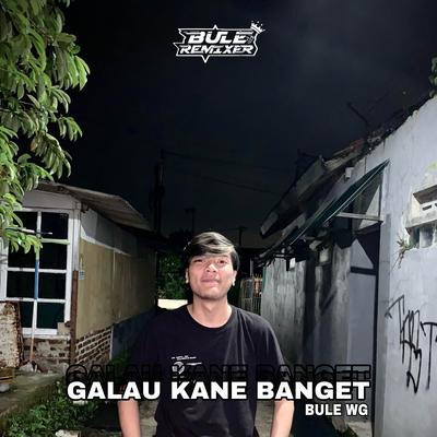 GALAU KANE BANGET 's cover