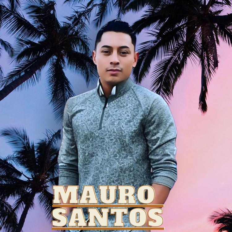 Mauro Santos's avatar image