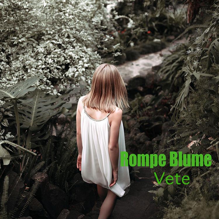 Rompe Blume's avatar image