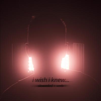 i wish i knew... (slowed + verb)'s cover