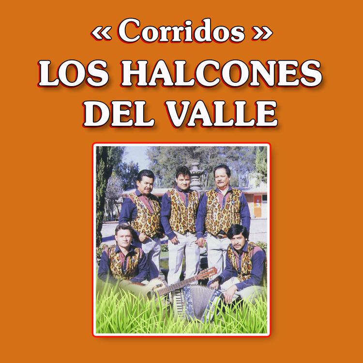 Los Halcones Del Valle's avatar image