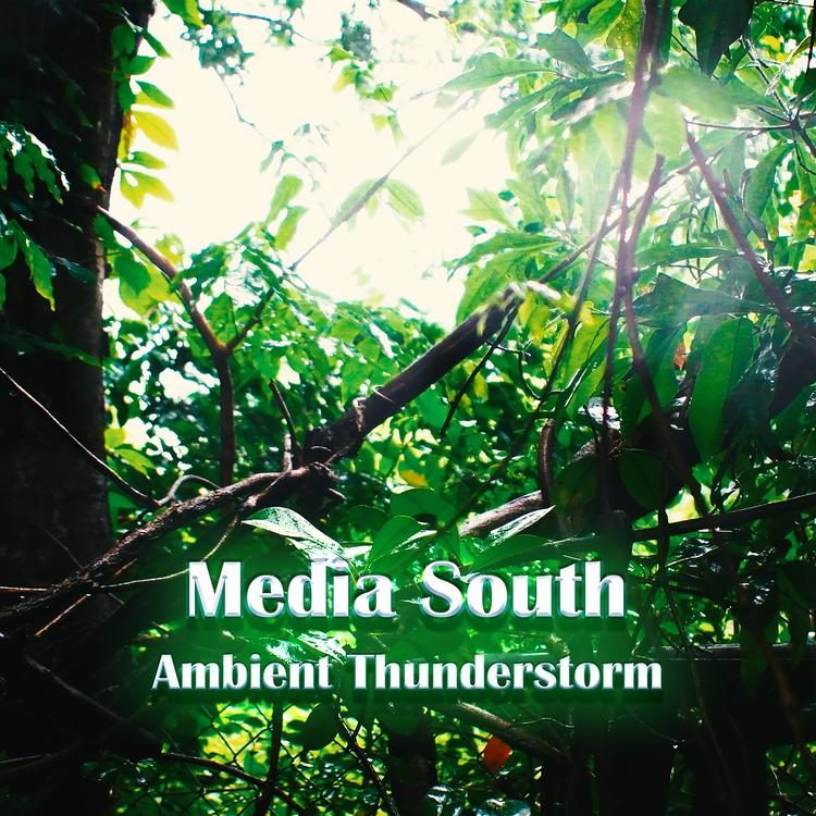 Media South's avatar image