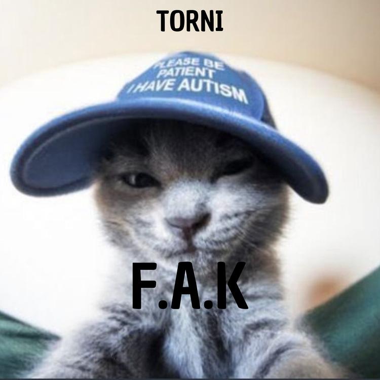 TORNI's avatar image