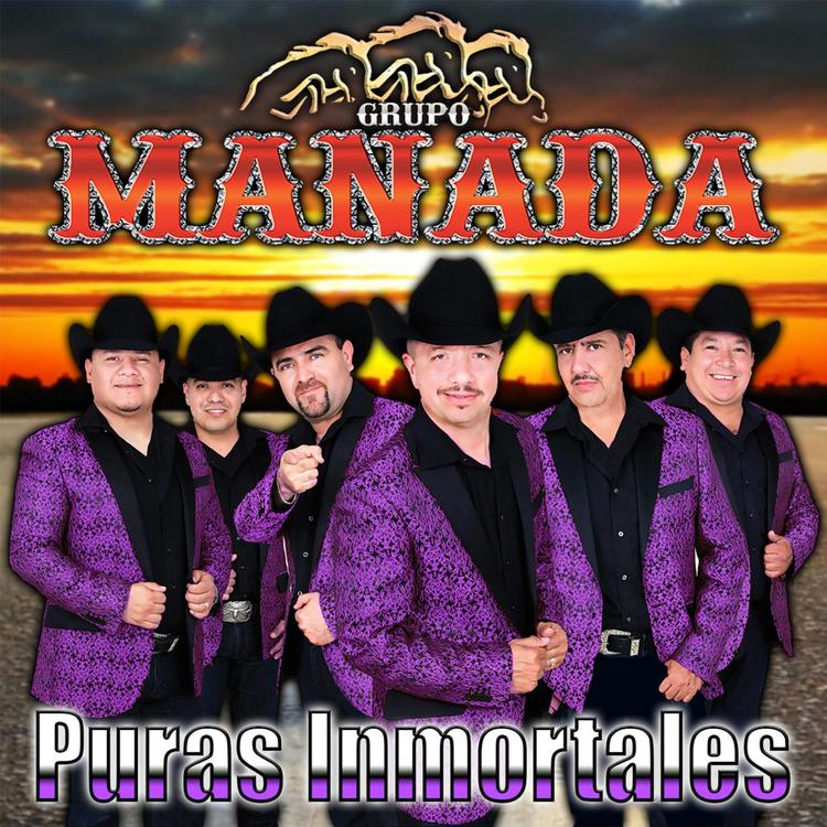 Grupo Manada's avatar image