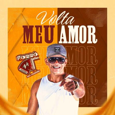 Volta Meu Amor By Forró do 14's cover