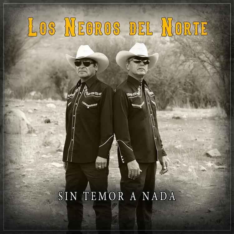 Los Negros del Norte's avatar image