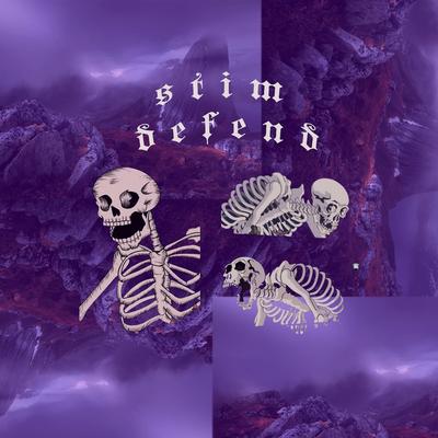 defend By STIM's cover