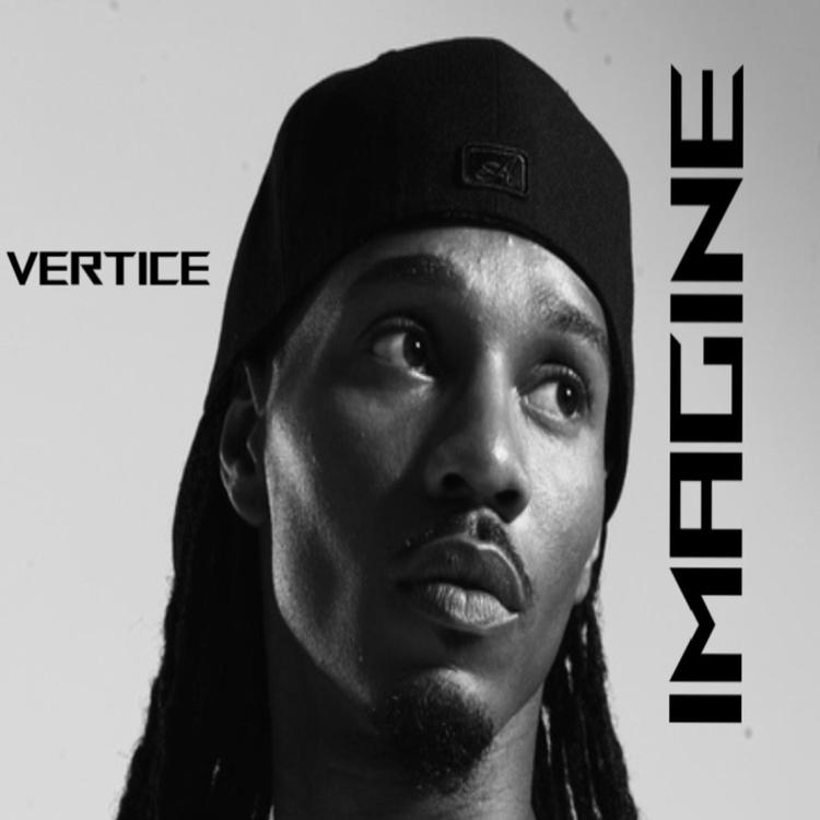 Vertice's avatar image