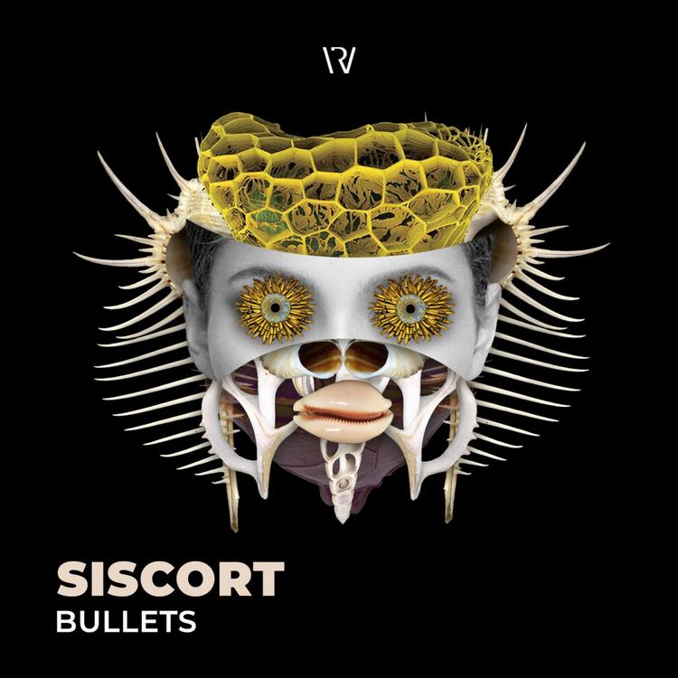 Siscort's avatar image