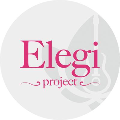 Elegi Hati Project's cover