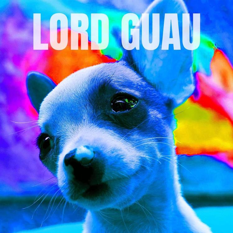 Lord Guau's avatar image