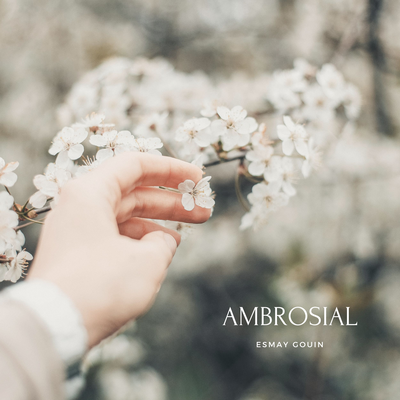 Ambrosial's cover