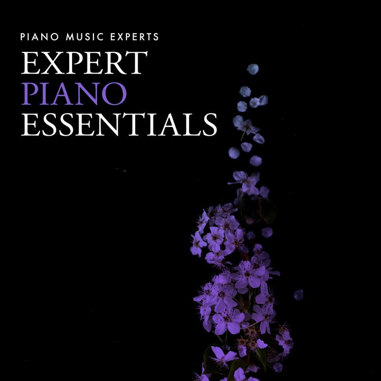 Piano Music Experts's avatar image