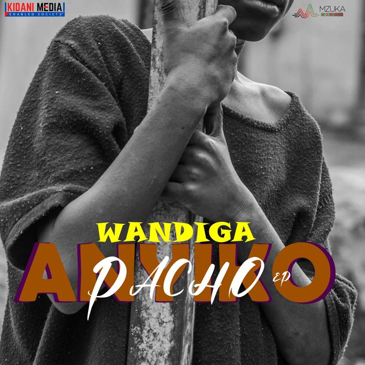 WANDIGA's avatar image