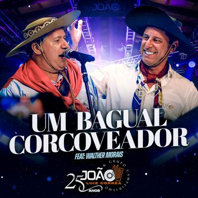 Um Bagual Corcoveador (Live)'s cover