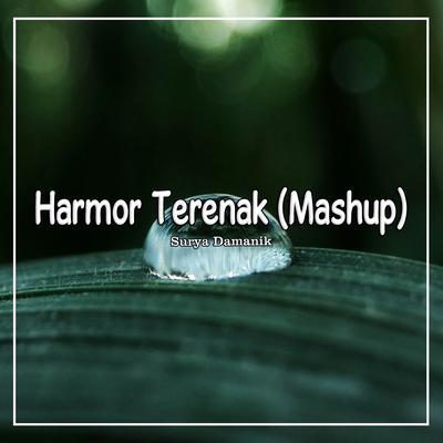 Mashup Harmor Kane Vol 2's cover