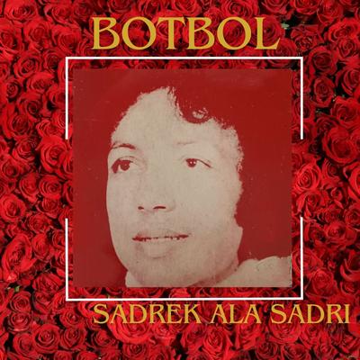 Sadrek ala sadri's cover