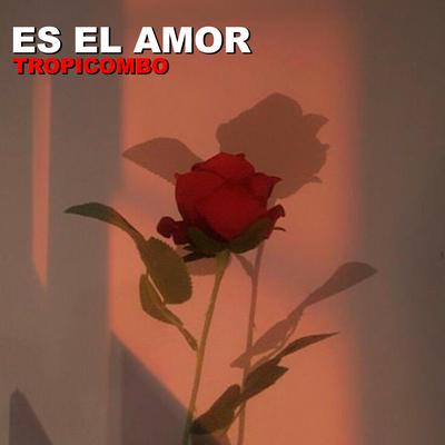 ES EL AMOR's cover