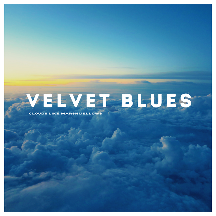 Velvet Blues's avatar image
