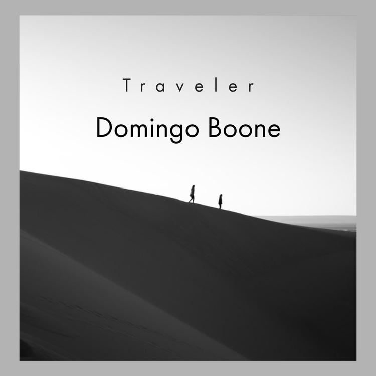 Domingo Boone's avatar image