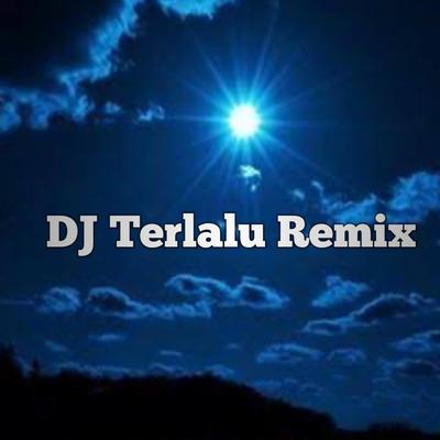 DJ Terlalu Remix's cover