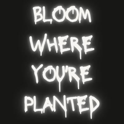 Bloom Where You're Planted's cover
