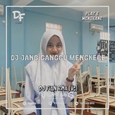 DJ JANG GANGGU MENGKANE (INS)'s cover