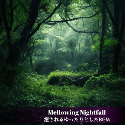 Mellowing Nightfall's cover